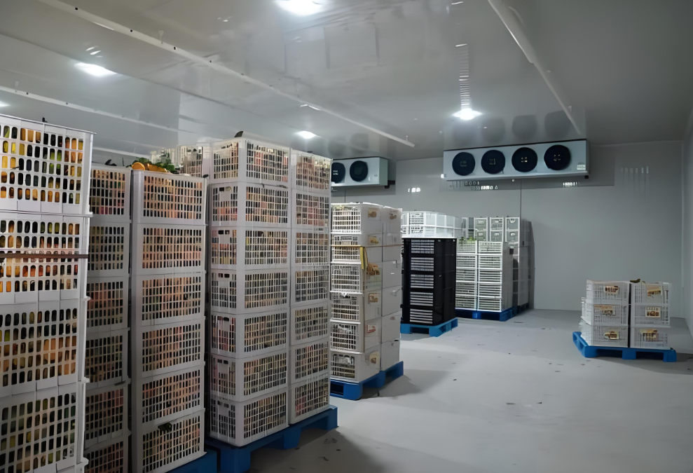 冷庫(kù)中貨物堆碼高度有限制嗎，依據(jù)是什么？